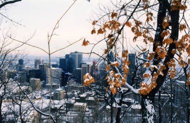 Montreal CANADA 10 19 2022 Montreal şehir merkezinin kuş bakışı görüntüsü. Montreal, Kanada 'nın Quebec eyaletinde yer alan bir şehirdir..