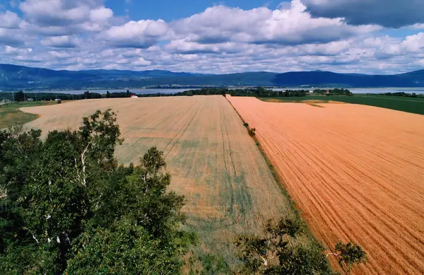 Stock image Landscape view of farmland in Ile D'Orleans Quebec Canada plowed field furrows