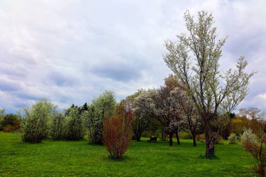 Montreal 'in Kanada' daki botanik bahçesi