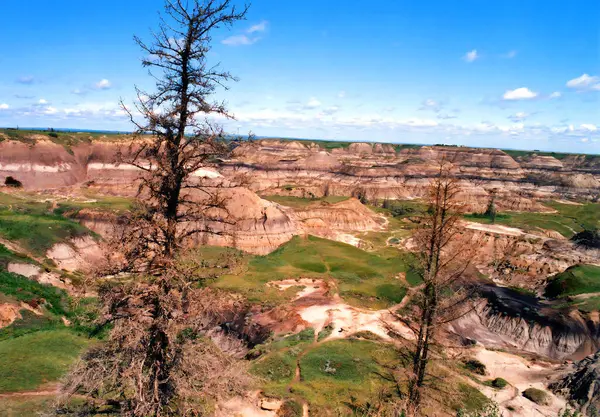 stock image Drumheller Alberta Canada is your hub for exploring the Canadian Badlands and nearby Dinosaur Provincial Park.