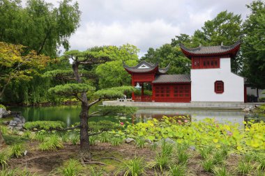 MONTREAL CANADA 08: 12 2024: Montreal Botanik Bahçesi Çin Bahçesi