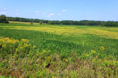 Landscape farm in country side of Saint-Ignace-de-Stanbridge it is in the Brome-Missisquoi Regional County Municipality clipart