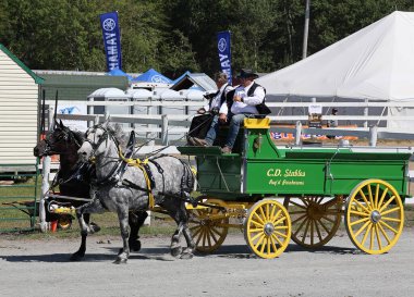 BROME QUEBEC CANADA 08: 30 30 2024: Brome Fair atları geçit töreni. Yıllık ülke fuarı her türlü eğlenceyle İşçi Bayramı düzenlendi: orta yol, sanat ve zanaat, çiftlik hayvanları yarışmaları, atlar