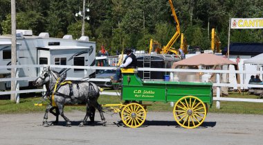 BROME QUEBEC CANADA 08: 30 30 2024: Brome Fair atları geçit töreni. Yıllık ülke fuarı her türlü eğlenceyle İşçi Bayramı düzenlendi: orta yol, sanat ve zanaat, çiftlik hayvanları yarışmaları, atlar