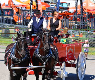 BROME QUEBEC CANADA 08: 30 30 2024: Brome Fair atları geçit töreni. Yıllık ülke fuarı her türlü eğlenceyle İşçi Bayramı düzenlendi: orta yol, sanat ve zanaat, çiftlik hayvanları yarışmaları, atlar