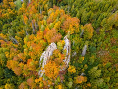 Fotoğraf: Sokilskiy Dağ Sırası, Ukrayna