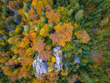 Fotoğraf: Sokilskiy Dağ Sırası, Ukrayna