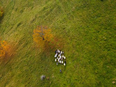 Fotoğraf: Sokilskiy Dağ Sırası, Ukrayna