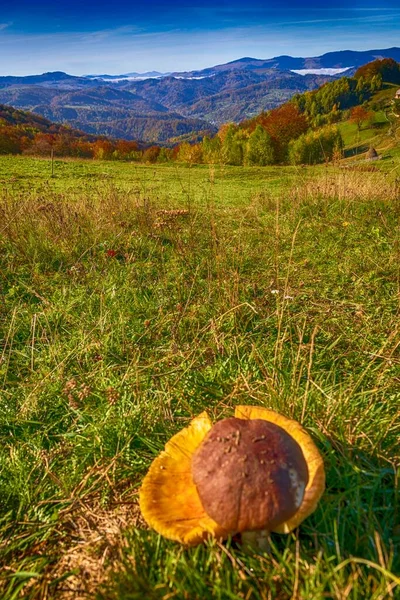 Fotoğraf: Sokilskiy Dağ Sırası, Ukrayna