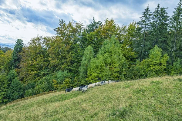 Fotoğraf: Sokilskiy Dağ Sırası, Ukrayna