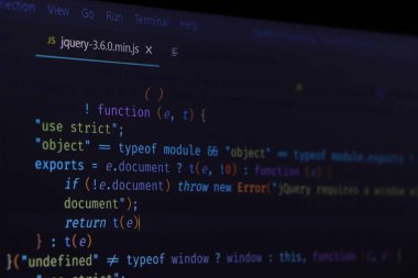 Programcı kodlama pitonu, java betiği, evdeki defter ekranında html kodu. Evden çalışıyorum. İş için çalışma süreci illüstrasyonu.