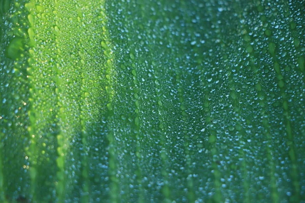 Folha Banana Verde Com Gota Água — Fotografia de Stock