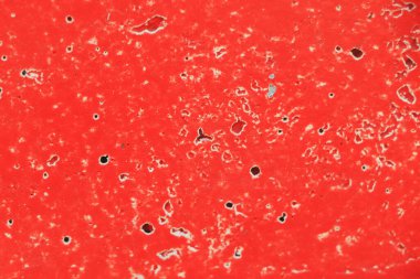 Red wall texture closeup background.