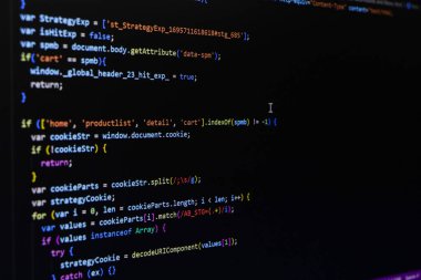 Kodlama ekranı programlanıyor, web geliştiricisi kodlama ekranı