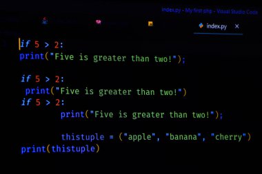 Yazılım kaynak kodu. Programlama kodu. Bilgisayar ekranında programlama kodu. Ofiste program kodları üzerinde çalışan geliştirici. Kaynak kodu fotoğrafı. Teknoloji geçmişi