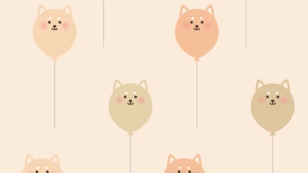 Pozadí Balónů Ukázkou Psa — Stock video