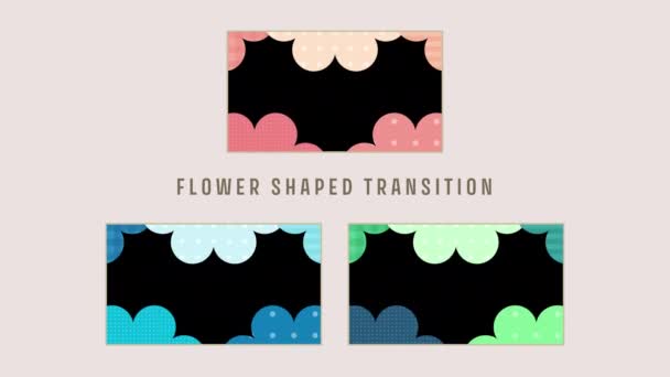 Transição Forma Flor Colorida Segundos Set Padronizado — Vídeo de Stock