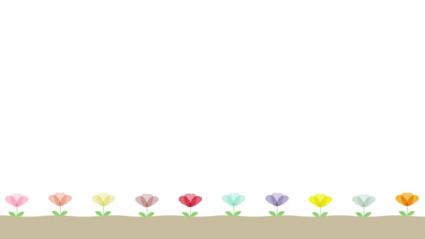 Kolorowe Kwiaty Rosnące Animacji Proste Tło Puste Miejsce Tekst — Wideo stockowe