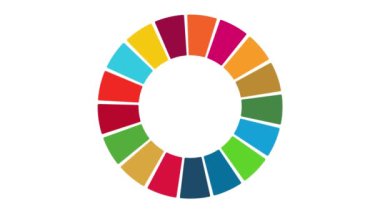 SDG renk tekerleği canlandırma seti