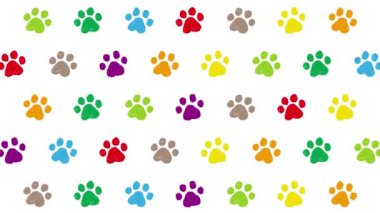 El çizimi pençe çizimi çizim şablonu arkaplanı (6 saniye döngü) renkli