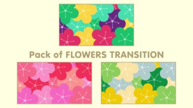 Düşen çiçek illüstrasyon geçiş paketi (canlı renk)
