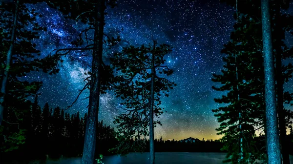 Gwiaździsta Kosmiczna Noc Pod Jeziorem Drzewami Wysokiej Jakości Zdjęcie — Zdjęcie stockowe