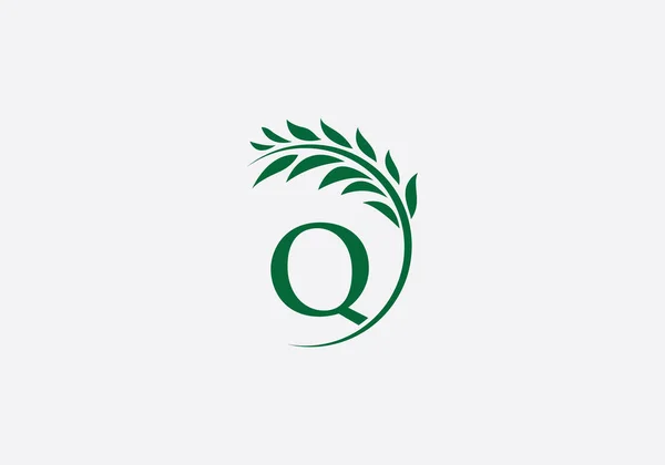 Laurel Çelengi Yeşil Yaprak Logosu Klasik Buğday Logosu Tasarımı Harfleri — Stok Vektör