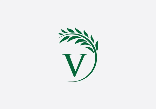 Laurel çelengi yeşil yaprak logosu ve klasik buğday logosu tasarımı harfleri ve alfabesiyle monogram vektörü