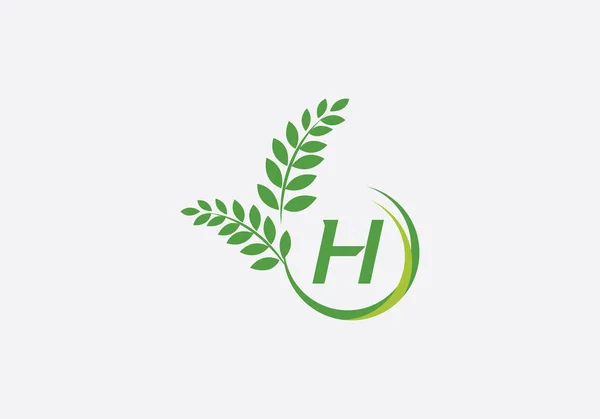 ローレル花輪緑の葉のロゴと文字とアルファベットとヴィンテージ小麦のロゴデザインのモノグラムベクトル — ストックベクタ