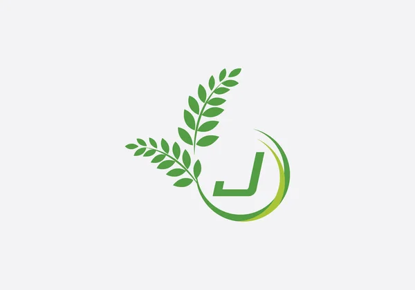 Laurel Wreath Green Leaf Logo Vintage Wheat Logo Design Monogram —  Vetores de Stock