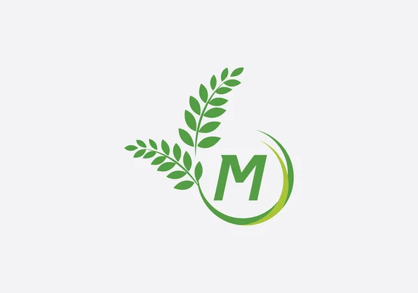 Laurel Wreath Green Leaf Logo Vintage Wheat Logo Design Monogram — Vettoriale Stock