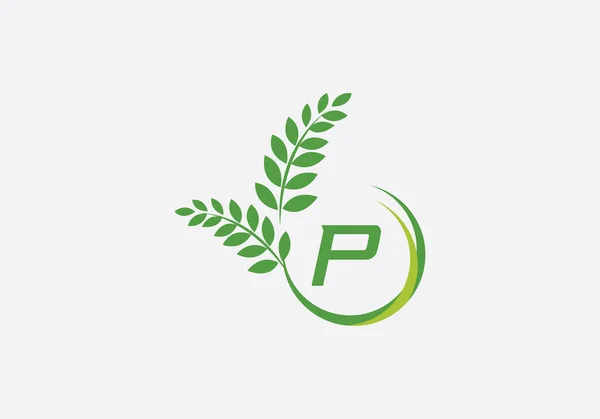 Laurel Wreath Green Leaf Logo Vintage Wheat Logo Design Monogram — Stockvektor