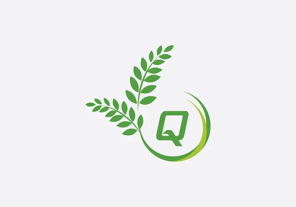 Laurel Çelengi Yeşil Yaprak Logosu Klasik Buğday Logosu Tasarımı Harfleri — Stok Vektör