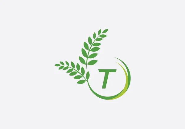 Στεφάνι Δάφνης Πράσινο Λογότυπο Φύλλων Και Vintage Λογότυπο Σιταριού Σχεδιασμό — Διανυσματικό Αρχείο