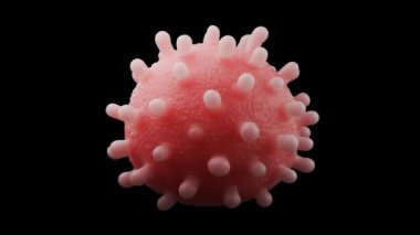 H5N1 grip virüsünün bir alt türüdür. Öncelikle kuşları etkiler, ama nadir durumlarda memelileri ve insanları da etkileyebilir.