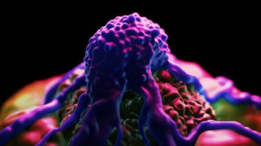 Kanser hücrelerinin vücut hücrelerine ve organlarına saldırdığı açık mavi ve pembe renkli bir video konseptine sahip bir kanser hücresi.