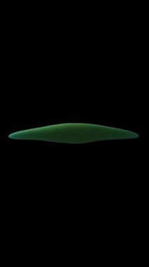 Mikroskop altında dolap ve diatom yosunları 3D animasyon