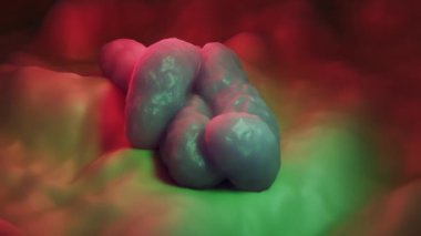 Campylobacter jejuni bakterisi 3 boyutlu olarak mikroskobik görünüm oluşturuldu