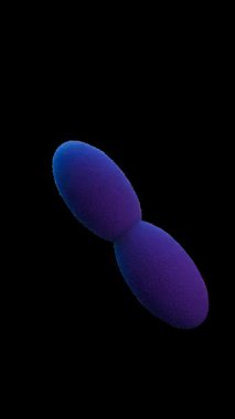 Asetobacter, en çok etanolü asetik asite çevirmesiyle bilinen, sirke üretimi için hayati önem taşıyan, fakat aynı zamanda diğer alkollü içeceklerde bozma potansiyeli olan bir bakteri cinsidir..