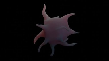 Aktif trombositler, yaralanma veya kan damarı hasarı sinyallerine tepki olarak şekil ve yüzey özelliklerinde hızlı bir değişim geçiren kan hücreleridir.