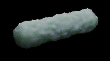 Escherichia coli, Escherichia cinsinin gram-negatif, fakultatif anaerobik, koliform şeklinde bir bakterisidir ve genellikle sıcak kanlı organizmaların bağırsaklarında bulunur..