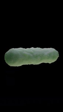 Escherichia coli, Escherichia cinsinin gram-negatif, fakultatif anaerobik, koliform şeklinde bir bakterisidir ve genellikle sıcak kanlı organizmaların bağırsaklarında bulunur..