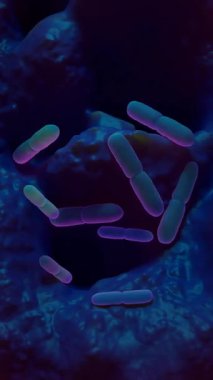  Laktobacillus, insan ve hayvan sağlığı, gıda fermantasyonu ve korunmasında önemli öneme sahip laktik asit üreten çeşitli bir bakteri grubudur.