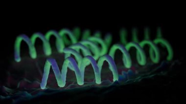 Treponema Pallidum Bakterileri Frengiye sebep oluyor