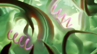 Treponema Pallidum Bakterileri Frengiye sebep oluyor