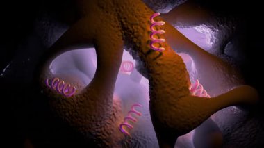 Treponema Pallidum Bakterileri Frengiye sebep oluyor