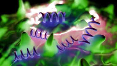 Treponema Pallidum Bakterileri Frengiye sebep oluyor