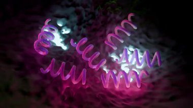 Treponema Pallidum Bakterileri Frengiye sebep oluyor