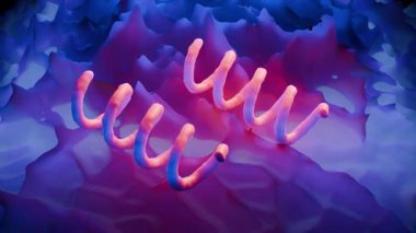 Treponema Pallidum Bakterileri Frengiye sebep oluyor