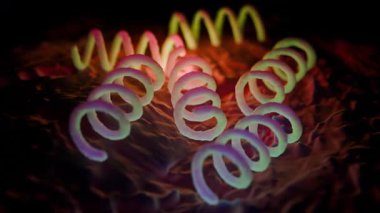 Treponema Pallidum Bakterileri Frengiye sebep oluyor